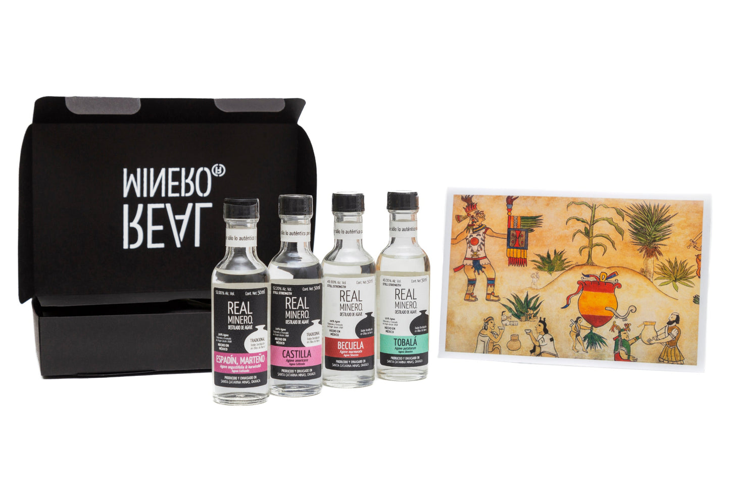 Kit La base de la alimentación en México- maíz y maguey