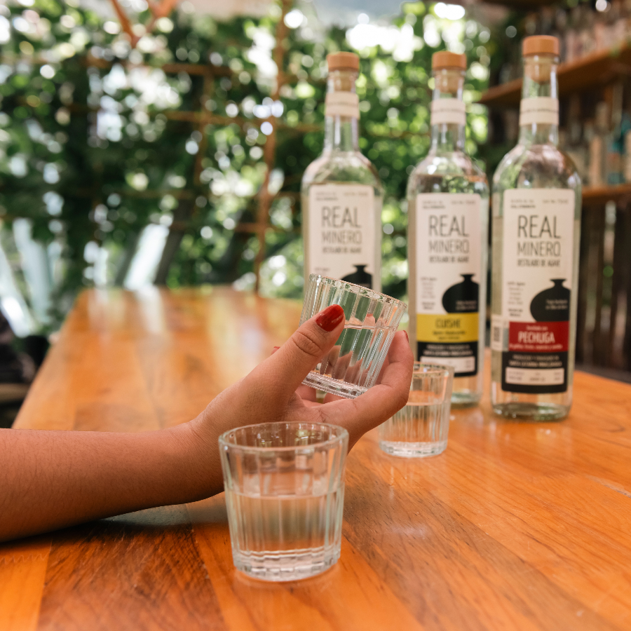 Degustaciones de mezcal en Real Minero