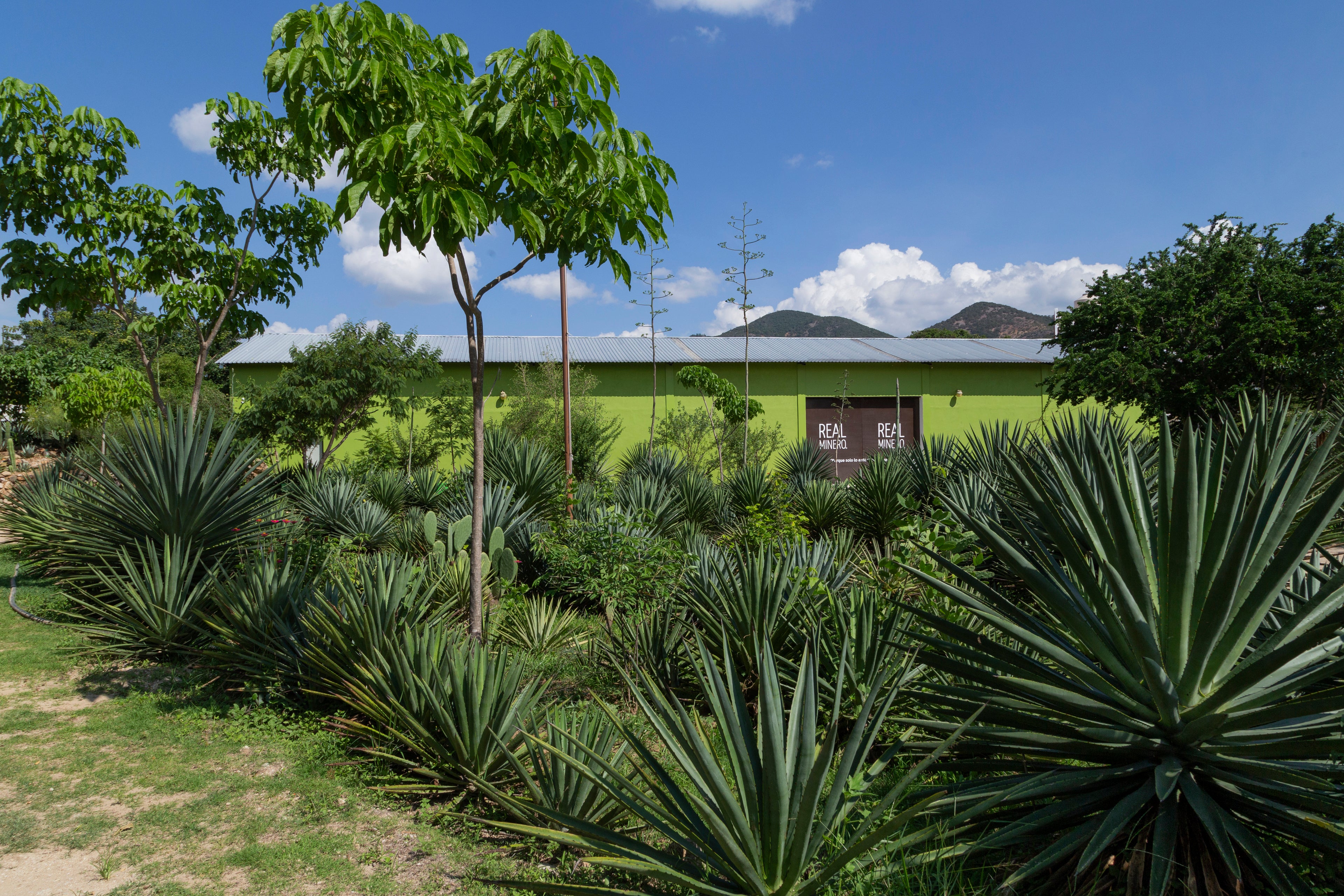 Turismo rural y sostenible: tours por Real Minero